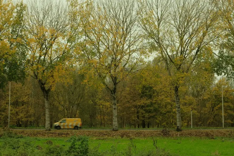Aggregaat aansluiten bij netcongestie Flevoland: