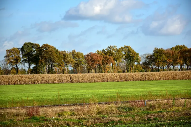 Aggregaat brandstofverbruik per uur berekenen: diesel,
