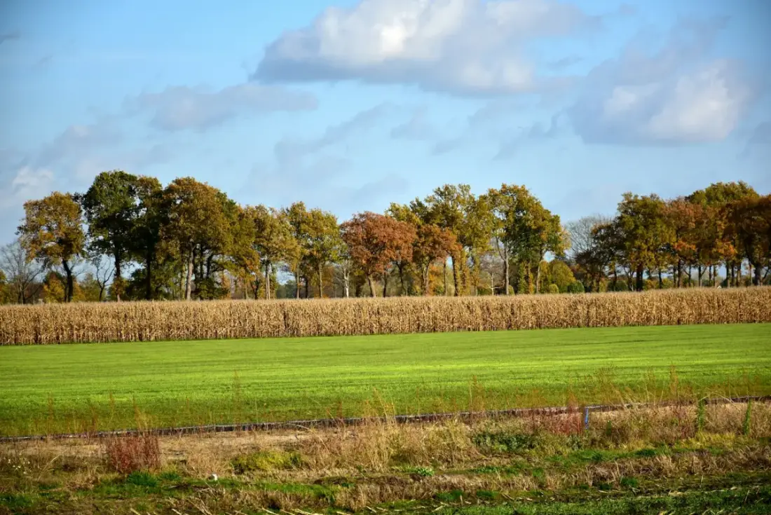 Aggregaat brandstofverbruik per uur berekenen: diesel,