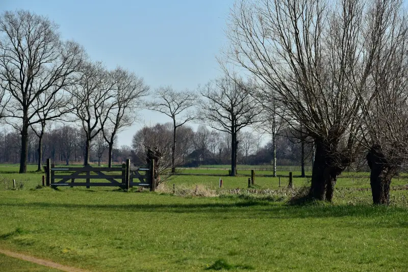Netcongestie aansluiting geweigerd: oplossing Flevoland
