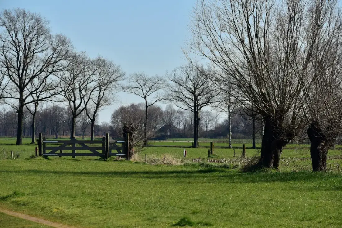Netcongestie aansluiting geweigerd: oplossing Flevoland