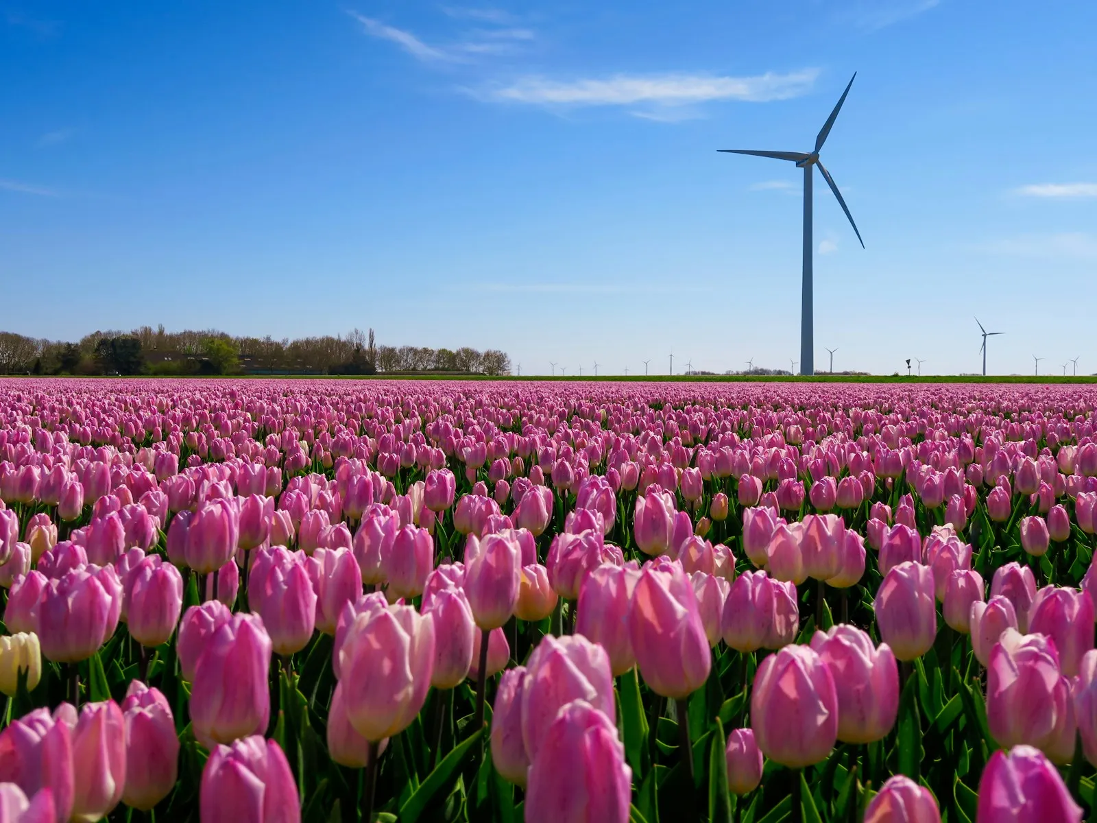 Noodstroom agrarisch bedrijf Flevoland: gids 2026