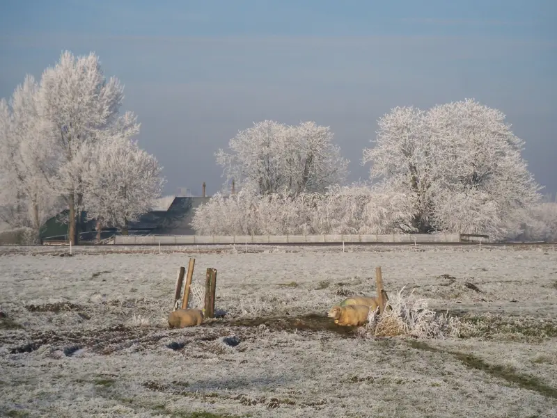 Noodstroom stroomstoring winter Flevoland: aggregaat &