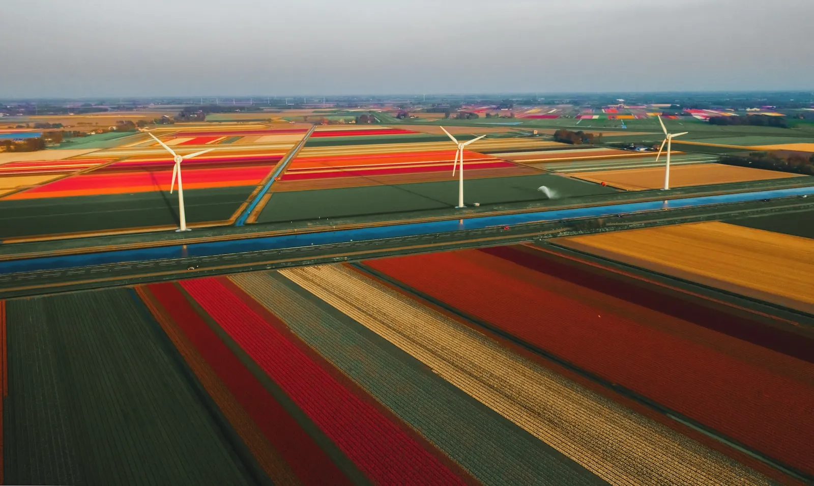 Stroomstoring Flevoland windpark: oorzaak en oplossing