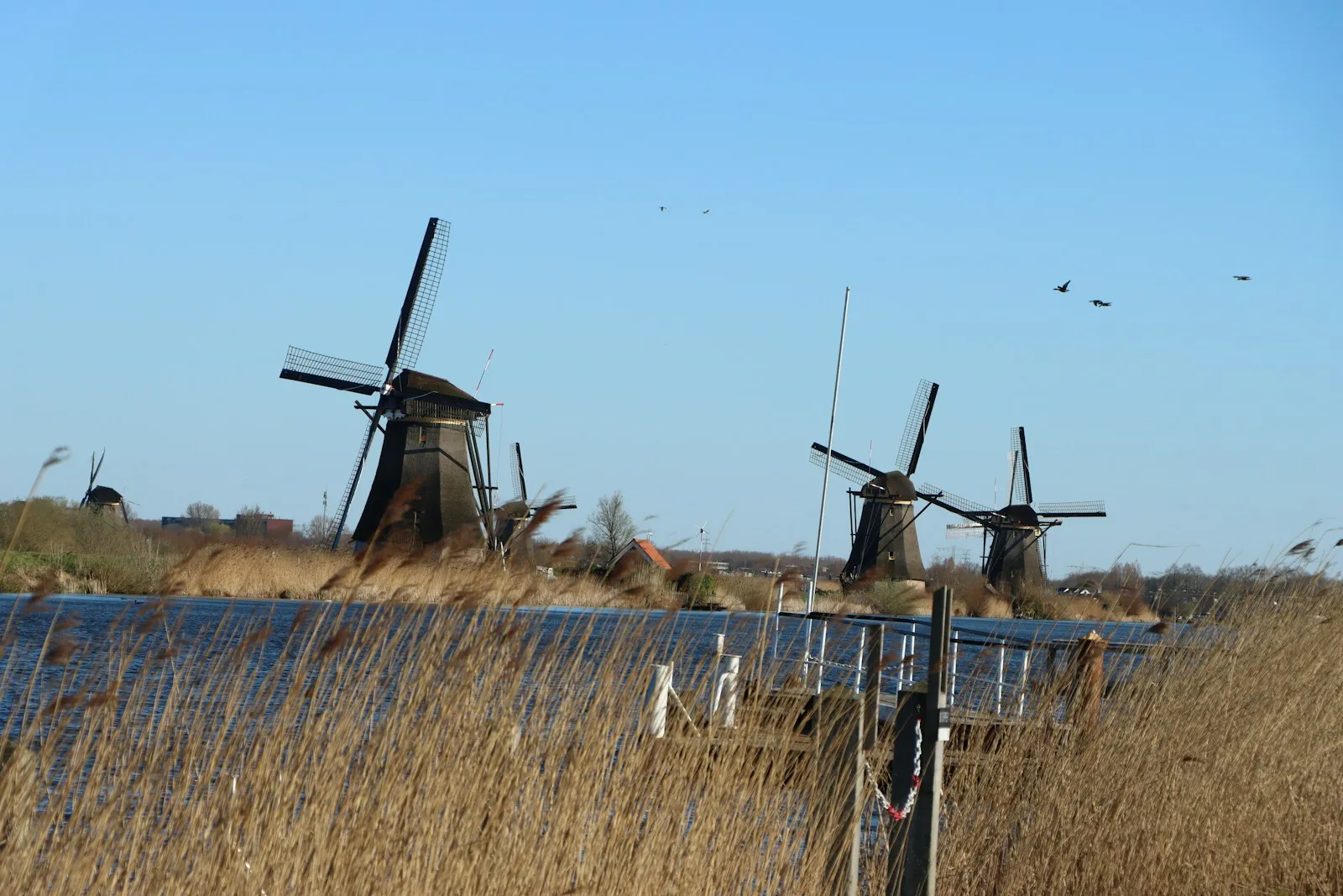 Thuisbatterij of aggregaat noodstroom Flevoland